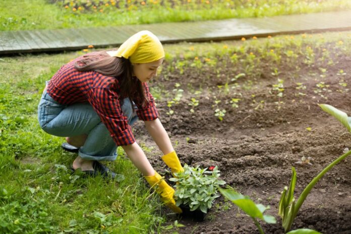 The Optimist Daily: Making Solutions the News: Is gardening the most underrated workout? The mind-body benefits of one hour in the garden