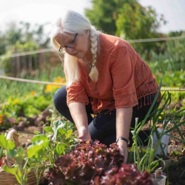 Not All News is Bad!: The secret to living longer could be found in your own backyard, study finds