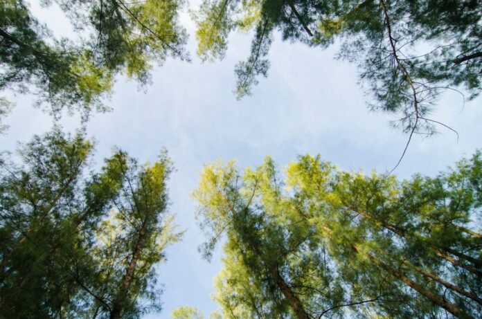 The Optimist Daily: Making Solutions the News: How DNA in the air could help track life on Earth