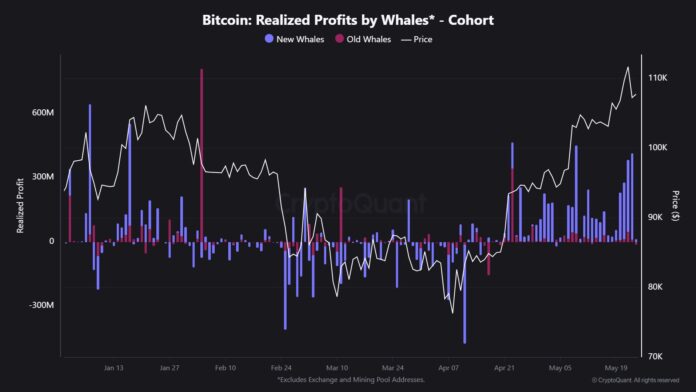 Bitcoinist: Newbie Bitcoin Whales The Ones Taking Profits This Rally, Data Shows