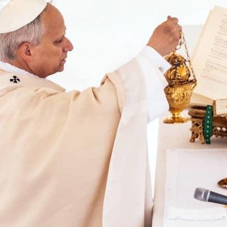 Drudge Report Feed: Pope Leo urges unity, condemns capitalism and war at inaugural Mass...