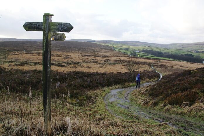 The Optimist Daily: Making Solutions the News: Brontë country designated as one of England’s largest national nature reserves