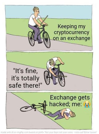 Bitcoin - The Currency of the Internet: Daily Bitcoin meme until BTC is at $200,000 #7