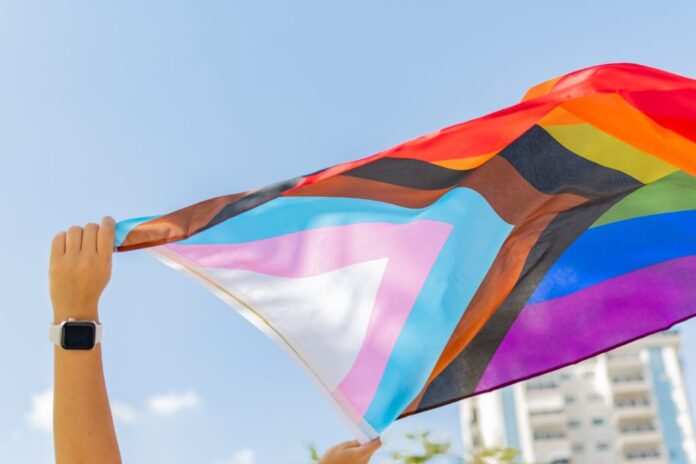 The Optimist Daily: Making Solutions the News: Your colorful guide to every LGBTQ+ Pride flag and what they represent