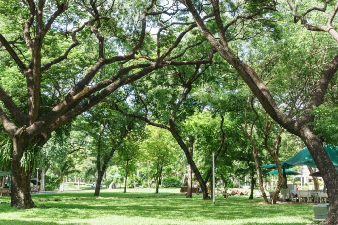 The Optimist Daily: Making Solutions the News: Breda becomes EU’s first National Park City, setting a hopeful path for greener urban living