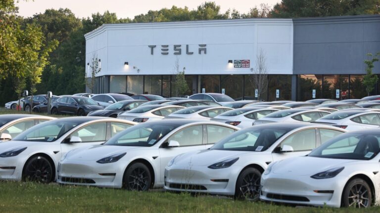 Tesla stock is set for its second-worst month ever as Elon Musk’s investors turn jittery