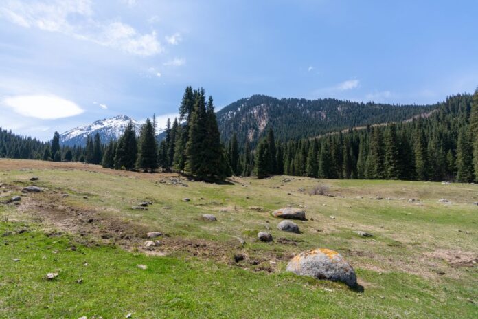 The Optimist Daily: Making Solutions the News: Kyrgyzstan builds 800,000-hectare ecological corridor to protect mountain biodiversity